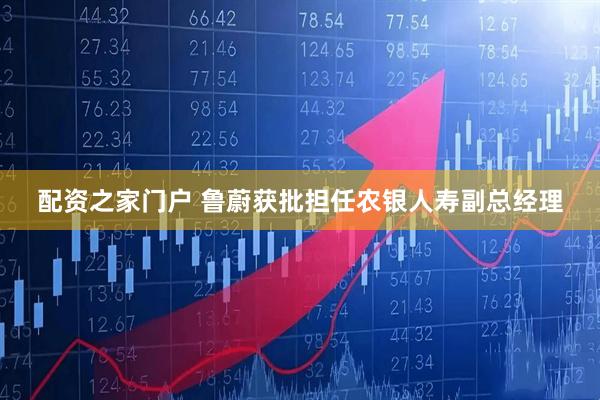 配资之家门户 鲁蔚获批担任农银人寿副总经理