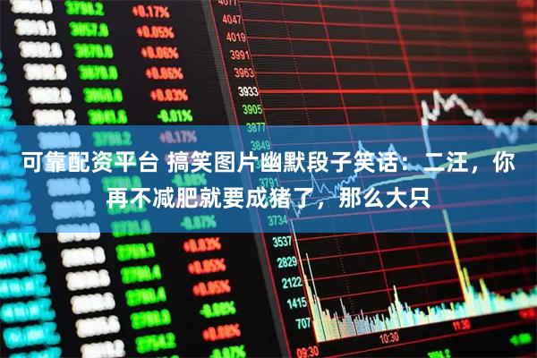 可靠配资平台 搞笑图片幽默段子笑话：二汪，你再不减肥就要成猪了，那么大只