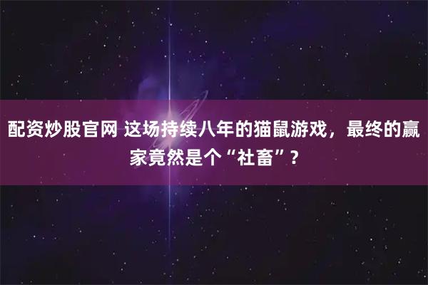 配资炒股官网 这场持续八年的猫鼠游戏，最终的赢家竟然是个“社畜”？
