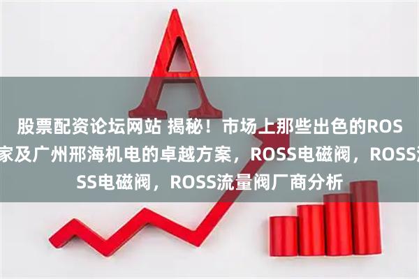 股票配资论坛网站 揭秘！市场上那些出色的ROSS流量阀生产厂家及广州邢海机电的卓越方案，ROSS电磁阀，ROSS流量阀厂商分析