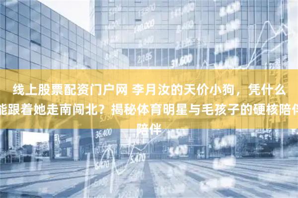 线上股票配资门户网 李月汝的天价小狗，凭什么能跟着她走南闯北？揭秘体育明星与毛孩子的硬核陪伴